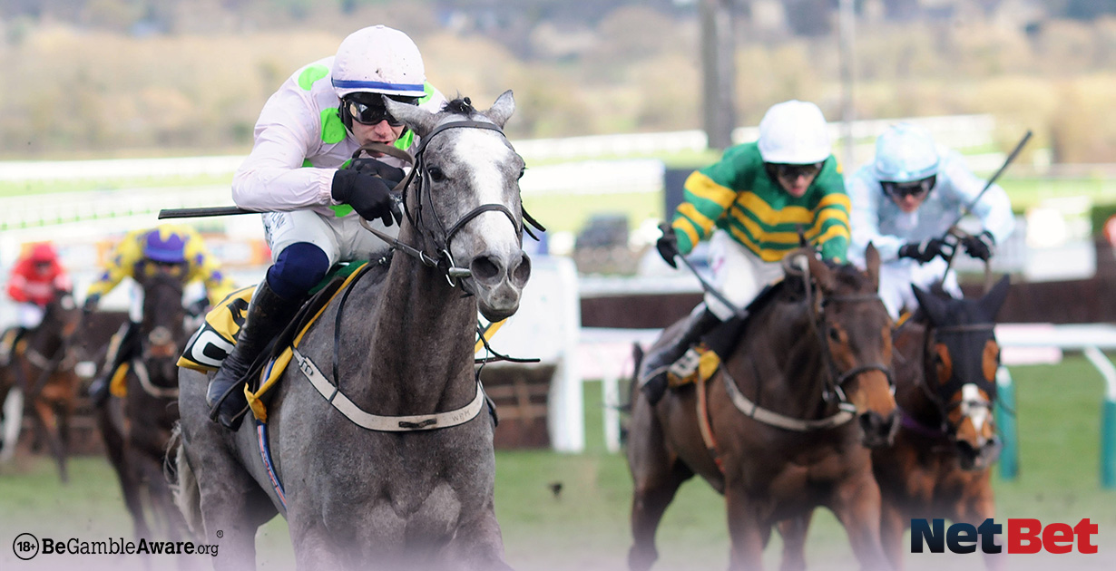 Cheltenham Festival 2024 Day One Preview & Betting Tips NetBet UK