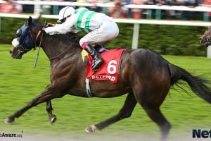 St Leger 2024 Preview